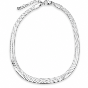 Pulseira de Pé Shinning Steel